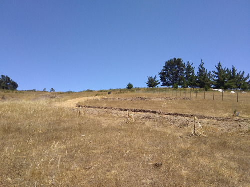 Parcela Hacienda Bucalemu, Paredones