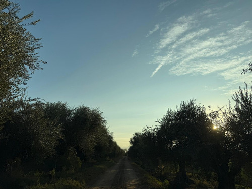 Finca De 6 Has En Venta En Los Corralitos, Gllén