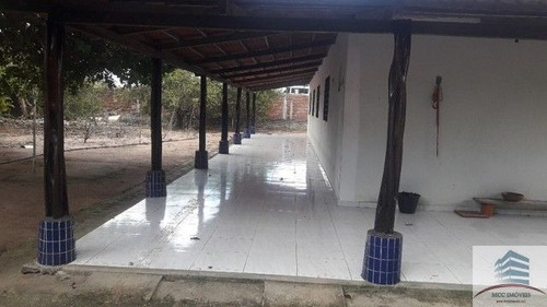 Imagem 3 de 15 de Granja A Venda Monte Alegre