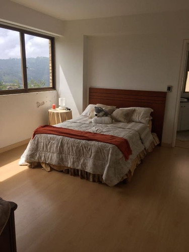 Imagen 6 de 14 de Apartamento En Alquiler