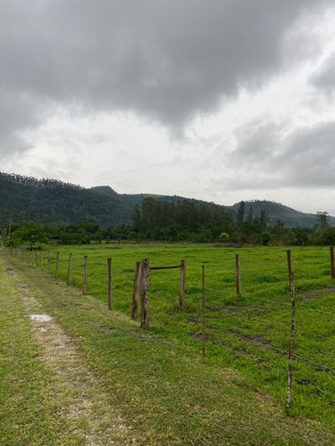 Imagem 11 de 14 de S01- 1.000m² Apenas 49.990 /100% Plano