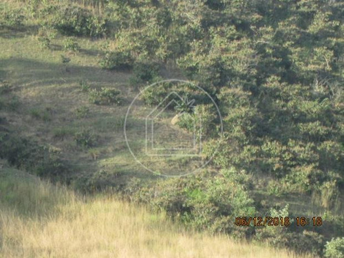 Imagem 6 de 12 de Terreno - Ref: 828091