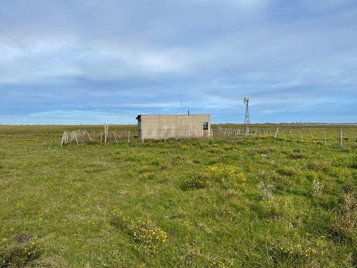 Imagen 16 de 19 de Campo En Venta !!! Gral Lavalle