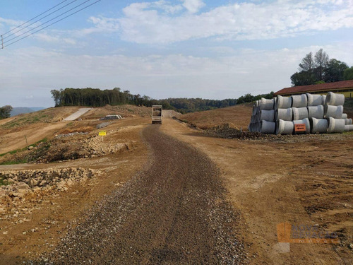 Imagem 10 de 10 de Terreno À Venda, 357 M² Por R$ 138.949,78 - Desvio Rizzo - Caxias Do Sul/rs - Te0307
