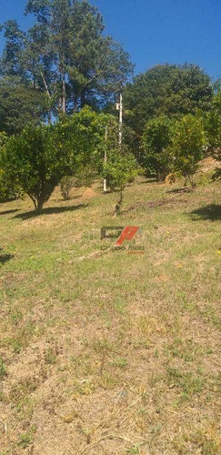 Imagem 11 de 14 de Chácara Com 2 Dormitórios À Venda, 6000 M² Por R$ 350.000,00 - Santa Terezinha - São Luiz Do Paraitinga/sp - Ch0031