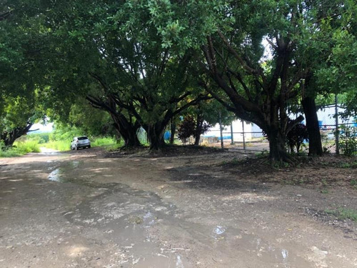 Imagen 4 de 12 de Terreno En Venta Rivera Cupia