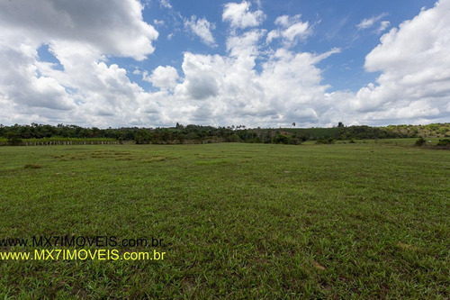 Imagem 8 de 15 de Fazenda Para Venda Em Santo Antônio De Jesus, Centro - 635_1-1401642
