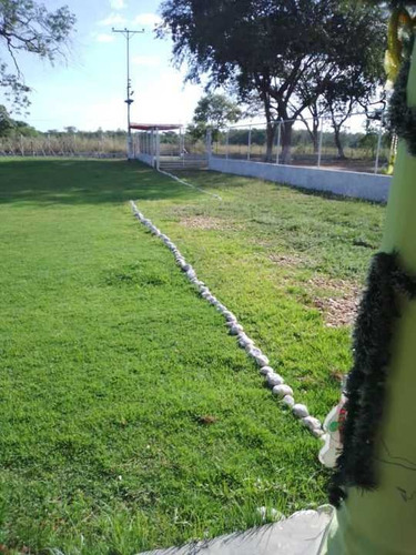Imagen 26 de 30 de Finca Privada De 100 Hectáreas A 12 Minutos De San Carlos
