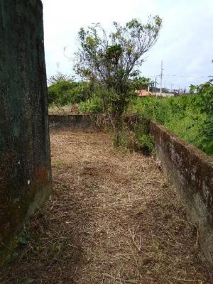 Imagem 11 de 13 de Casa De Terreno Inteiro Com 2 Quartos E Suíte - Itanhaém Sp