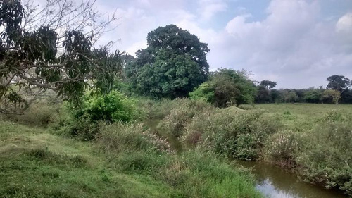 Venta Terreno Ganadero 400 Hectareas Frente Laguna De Tamiahua Veracruz.