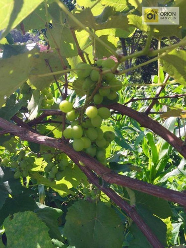 Imagem 15 de 17 de Chácara À Venda - Quintas Do Ingaí - Santana De Parnaíba/sp - Ch0049