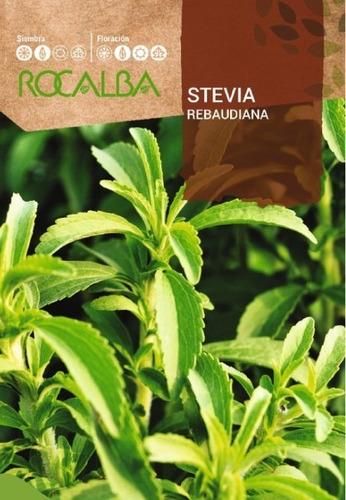 Imagen 1 de 2 de Semilla Stevia Rocalba