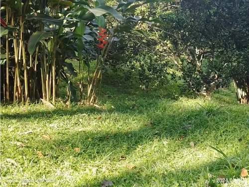 Vendo Finca La Vega Cundinamarca