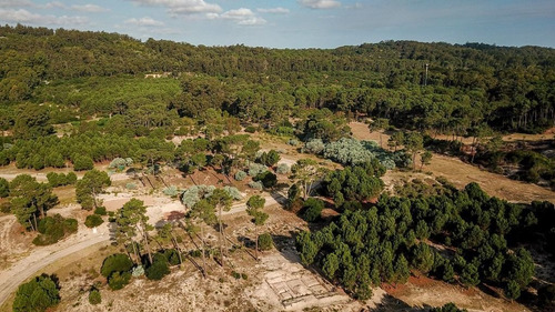 Imagen 3 de 7 de Lote En Acres De Solana, Punta Ballena - Acres De Solanas