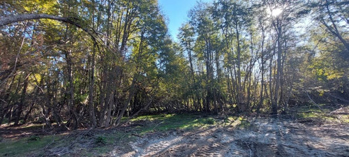 Imagen 3 de 11 de Lote De 1.759m2 Totalmente Plano En Las Balsas, Villa La Angostura