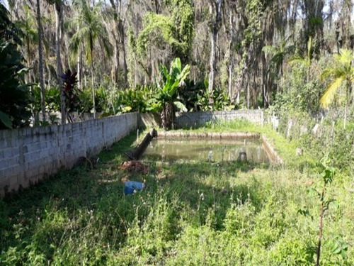 Imagem 8 de 22 de Terreno - 123 - 32939130