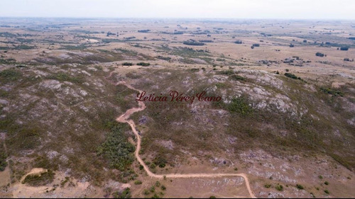 Imagen 2 de 13 de Venta Chacra 5 Has Ruta 39