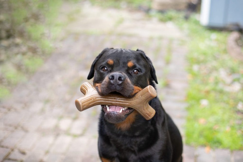 Imagen 4 de 10 de Hueso Masticable Benebone Bacon Stick Small Juguete Perro
