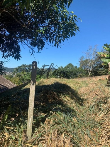 Imagem 5 de 9 de Terreno A Venda No Bairro Trindade - Florianópolis, Sc - Fl64404