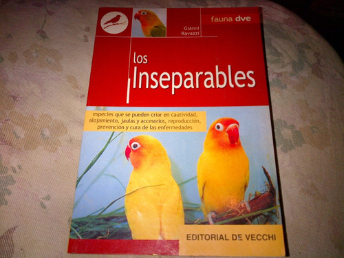 Gianni Ravazzi  Los Inseparables (pajaros) (s)