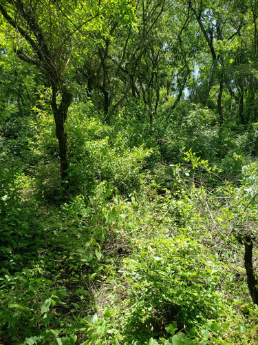 Bonito Terreno En Malinalco, Excelente Oportunidad