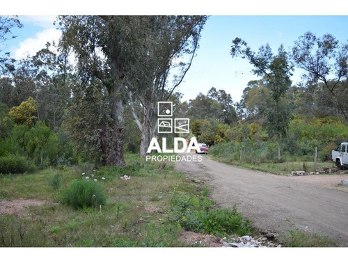 Imagen 9 de 11 de Terreno Punta Colorada Piriápolis Venta Te201488