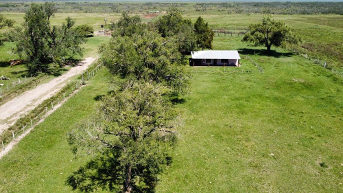 Imagen 9 de 10 de Campo De 1500 Ha Agrícola-ganadero - Galvez
