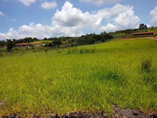 Imagem 17 de 22 de J.v Lotes De 1000 Metros Por 40 Mil À Vista Em Votorantim