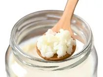 Comprar Kefir Gusanito, Búlgaros, Hongos De Lech(cosecha 1\u002F2 L Xdía)