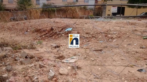 Imagem 7 de 25 de Lote De Esquina Com 482m², Localizado Na Principal Avenida Do Bairro Onde Terá O Viaduto Da Via 710 Que Liga O Bairro Fernão Dias Com O Bairro União E Minas Shopping. Oportunidade Para Construção De