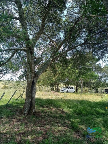 Imagen 20 de 20 de Vendo Chacra 5 Hectateas Con Casa En Ruta 39, Las Cañas - Las Cañas Las Cañas