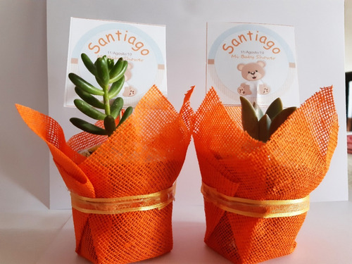 Imagen 9 de 10 de Recuerdos 35 Plantas Suculentas Decoradas Todo Evento