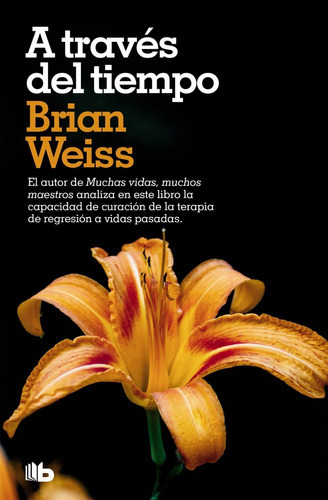 A Través Del Tiempo - Weiss, Brian