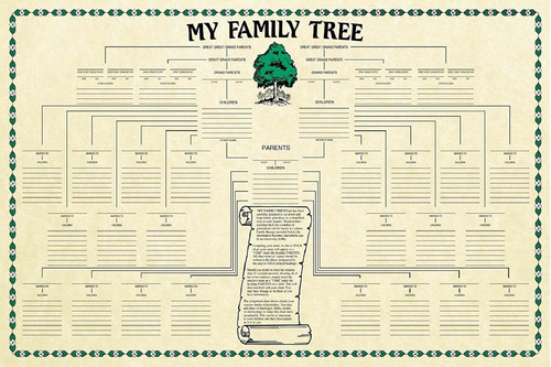 Genealogia Tabla Arbol Genealog