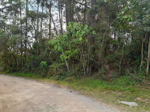 Imagem 5 de 7 de Terreno Em Invernada, Embu Das Artes/sp De 1550m² À Venda Por R$ 380.000,00 - Te1965959-s