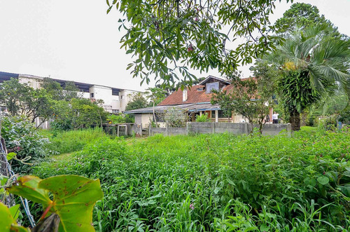 Imagem 28 de 30 de Terreno - Residencial - 923808