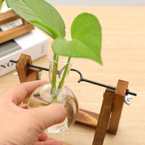 Jarrón Hidropónico De Vidrio Transparente Para Terrario,