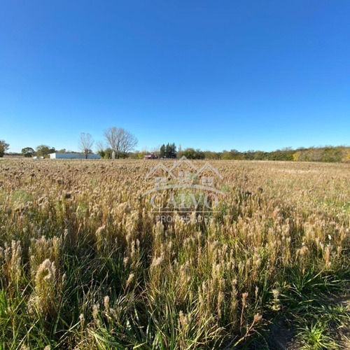 Imagen 2 de 3 de Venta De Lote. 1ha. Sobre Ruta 41