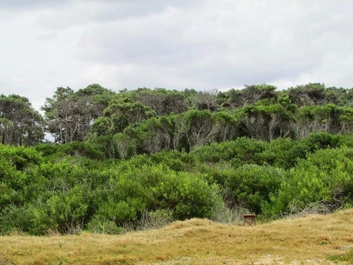 Imagen 10 de 12 de Lote | Ruta 10