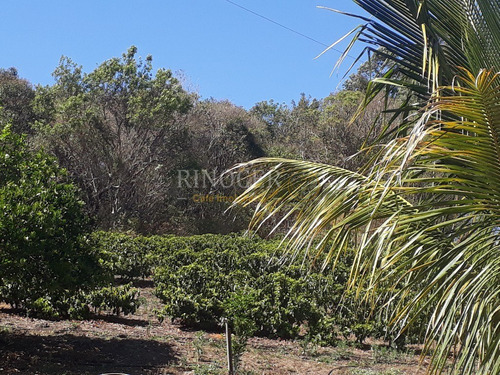 Imagem 15 de 30 de Temporada Em Ibiraci - Mg - Ot0006_rncr