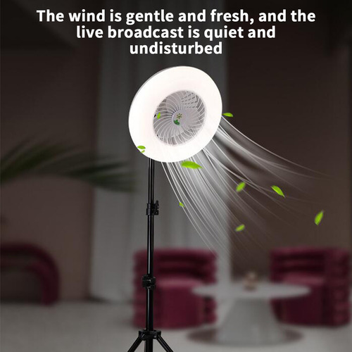 Ventilador De Techo R 110265 V Utilizable Con Rosca E27 Con