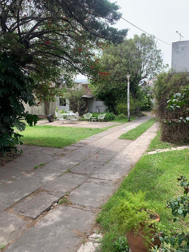 Imagen 4 de 6 de Terreno 1200 M² - Casullo 800