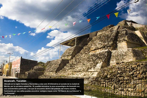 Terreno En Timucuy, Yucatán: 10 Hectáreas Con Potencial De Plusvalía Y Desarrollo