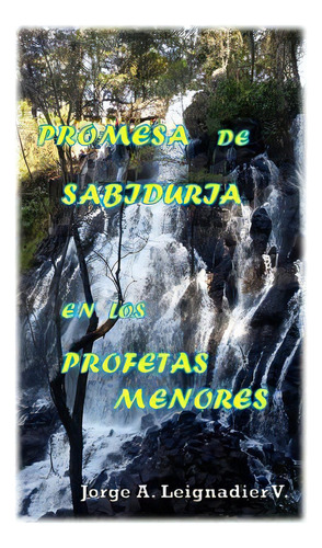Promesa De Sabiduria En Los Profetas Menores, De Valdes, Jpse S.. Editorial Createspace, Tapa Blanda En Español