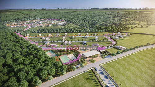 Imagem 4 de 16 de Terreno À Venda, 605 M² Por R$ 302.905,00 - Parque Das Nações - Parnamirim/rn - Te0043