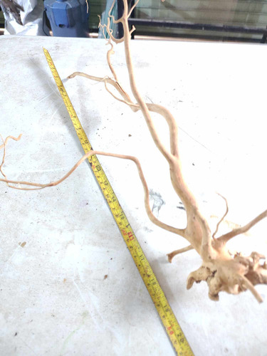 Raiz De Vid Mediano Acuario Pecera 50cm -----051 (Usado)