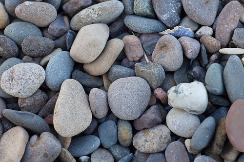 Piedra Decorativa De Playa