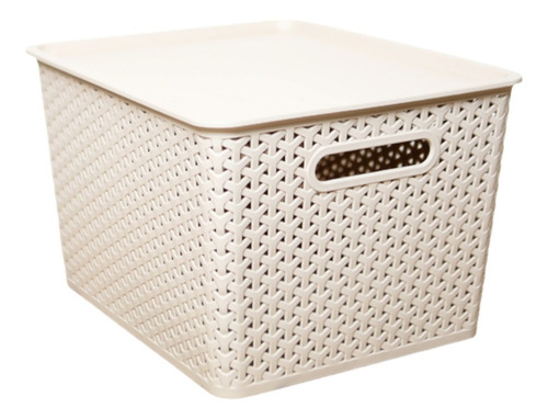 Caja Organizadora Plástica C/ Tapa Apilable Canasto Beige L