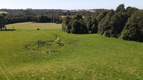 Parcelas En Frutillar, Bosques Y Praderas. Financiamiento