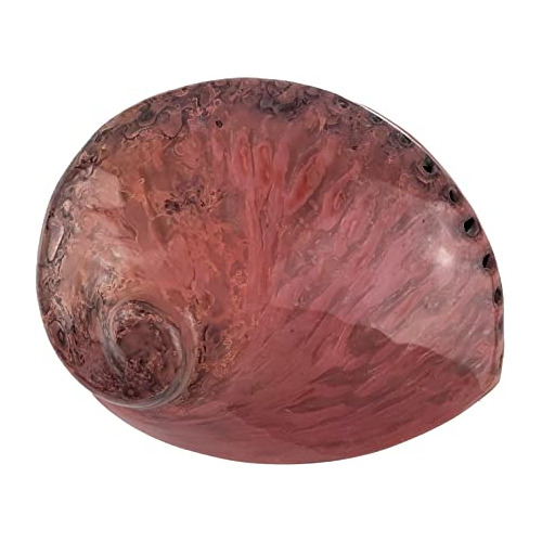 Concha De Abulón, Concha De Midae Pulida Rosa Manualid...